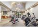 Bright and airy community gym with cardio machines and weights for resident use at 25150 N Windy Walk Dr # 37, Scottsdale, AZ 85255