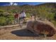 Inviting bike trail surrounded by lush vegetation and desert landscaping at 40215 N 110Th Pl, Scottsdale, AZ 85262