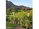 Stunning desert landscape with lush plants and an expansive luxury home nestled in the mountains at 40215 N 110Th Pl, Scottsdale, AZ 85262