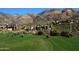 Lush golf course surrounded by beautiful homes and natural desert landscape; wild pigs grazing at 40215 N 110Th Pl, Scottsdale, AZ 85262