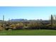 Scenic view of the golf course and desert landscape with mountain backdrop at 40215 N 110Th Pl, Scottsdale, AZ 85262