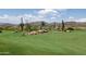 Scenic golf course view with green fairways, desert landscaping, and mountain backdrops, ideal for outdoor activities at 40215 N 110Th Pl, Scottsdale, AZ 85262