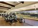 Well-equipped gym featuring modern treadmills, ellipticals, and scenic views of the community and mountains at 40215 N 110Th Pl, Scottsdale, AZ 85262
