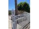 Palm tree in front yard surrounded by white metal fence at 4123 N 106Th N Ave, Phoenix, AZ 85037