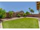 The backyard features low-maintenance turf and mature landscaping for privacy at 42505 W Venture Rd, Maricopa, AZ 85138