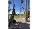 Beautiful view of the golf course, lined with palm trees, cacti, and desert plants, enhancing the natural beauty at 5808 E Lockwood St, Mesa, AZ 85215