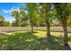Spacious backyard with lush green grass and mature trees providing ample shade at 7252 N Central Ave, Phoenix, AZ 85020