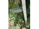 Vintage property sign among lush greenery adds character to the home's entrance at 7252 N Central Ave, Phoenix, AZ 85020