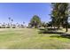 Picturesque view of a golf course in a tranquil community with vibrant green fairways at 7834 E Mariposa Way, Mesa, AZ 85208