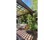 Inviting backyard patio with a pergola and seating surrounded by blossoming vines and greenery at 930 E Page St, Gilbert, AZ 85234