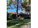 Charming brick home with a manicured lawn and mature landscaping at 930 E Page St, Gilbert, AZ 85234