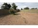 Large back yard features dirt landscaping, block fence, and mature tree at 1404 S Spencer --, Mesa, AZ 85204