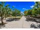 Picturesque community park featuring trees, benches, manicured landscaping, and string lights overhead at 14413 W Eugene Ter, Surprise, AZ 85379