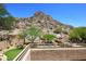 Back patio view offering a stunning mountain backdrop and lush greenery at 14833 S 14Th Pl, Phoenix, AZ 85048