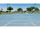 Outdoor community basketball court with lake view at 15695 W Christy Dr, Surprise, AZ 85379