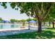 Picturesque community lake featuring sandy shores, picnic tables, shade structures, and mature trees at 15695 W Christy Dr, Surprise, AZ 85379