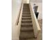 Carpeted stairway with handrail at 1750 E Mateo Cir # 106, Mesa, AZ 85204