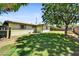Grassy backyard with mature tree for shade at 1941 E Hazelwood St, Phoenix, AZ 85016