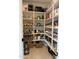 Walk-in pantry with organized shelves and baskets for storing food and appliances at 3669 E Boot Track Trl, Gilbert, AZ 85296