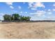 Expansive lot showcasing a large backyard with a beautiful view of mature trees and clear blue skies at 3933 E Freeman Ln, San Tan Valley, AZ 85140