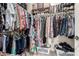 Spacious walk-in closet with ample hanging space and shelving for optimal organization at 4061 E Torrey Pines Ln, Chandler, AZ 85249