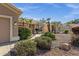 Desert landscaping enhances single-story homes in a well-maintained community at 5353 W Dublin Ct, Chandler, AZ 85226