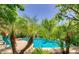 Beautiful pool surrounded by tropical palms and lush greenery, creating a private and serene backyard oasis at 10351 W Carlota Ln, Peoria, AZ 85383