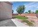 The backyard features a grass lawn, patio area and mature shade trees at 12450 W Hearn Rd, El Mirage, AZ 85335