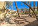 Attractive community area featuring lush landscaping, shaded seating, and inviting walkways, enhancing the outdoor experience at 1331 W Baseline Rd # 120, Mesa, AZ 85202