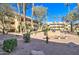 Well-maintained community area with barbecue grills, seating, and lush landscaping creating a welcoming outdoor space at 1331 W Baseline Rd # 120, Mesa, AZ 85202