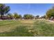 Expansive community park featuring lush greenery, mature trees, and a shaded gazebo for outdoor enjoyment and relaxation at 1617 W Pecan Rd, Phoenix, AZ 85041