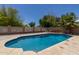 Sparkling private pool with mature landscaping, perfect for outdoor relaxation and entertaining at 1617 W Pecan Rd, Phoenix, AZ 85041
