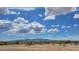 Expansive desert landscape with mature trees against a backdrop of mountains and a bright blue sky with fluffy clouds at 18224 W La Senda Dr, Surprise, AZ 85387