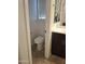 Bathroom featuring a toilet, vanity with sink, and mirror at 18447 W Verdin Rd, Goodyear, AZ 85338