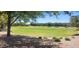 Community park with a large grassy area, walking paths, mature trees, and desert landscaping at 20838 E Vía De Arboles --, Queen Creek, AZ 85142
