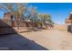 Large backyard surrounded by a tall block wall and accented by mature trees at 22320 W Morning Glory St, Buckeye, AZ 85326