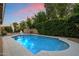 Backyard view with an in-ground pool surrounded by mature landscaping at 3350 S Holguin Way, Chandler, AZ 85248