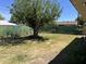 Backyard featuring a shade tree, green grass, and privacy fencing at 3538 W Sierra Vista Dr, Phoenix, AZ 85019