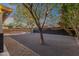 Spacious backyard with ample space for entertaining, mature trees, and outdoor enjoyment at 3842 W Ironwood Dr, Chandler, AZ 85226