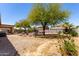 Large backyard with trees, gravel, and seating area at 40264 W Lococo St, Maricopa, AZ 85138
