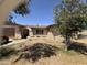 Exterior showcasing the home's front yard, arched entry, and a lush tree providing shade at 4902 W Vista Ave, Glendale, AZ 85301