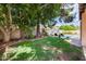 Lush backyard features a green lawn, mature trees, and a view of the sparkling pool beyond at 514 E Yvonne Ln, Tempe, AZ 85284
