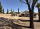 Wide backyard with lush trees for shade at 7266 E Monte Ave, Mesa, AZ 85209