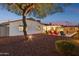 Expansive backyard with a well-maintained lawn, large tree, and inviting outdoor seating area near the pool at 8730 E Montecito Ave, Scottsdale, AZ 85251