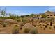 Desert landscaping and a circular driveway leading to the building entrance at 11123 E Monument Dr, Scottsdale, AZ 85262
