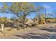 Desert landscaping with native trees, boulders, and shrubbery along the community path at 11123 E Monument Dr, Scottsdale, AZ 85262