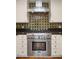 A modern stainless steel oven is framed by a custom backsplash design and custom cabinetry at 13007 N 1St St, Phoenix, AZ 85022