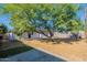 View of large private backyard with mature trees and partial concrete patio at 1325 W 7Th Ave, Mesa, AZ 85202
