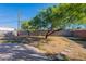 Large backyard with mature trees, brick wall, and concrete patio at 1325 W 7Th Ave, Mesa, AZ 85202