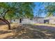 Spacious backyard with mature trees and concrete patio at 1325 W 7Th Ave, Mesa, AZ 85202